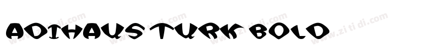 AdiHaus Turk Bold字体转换